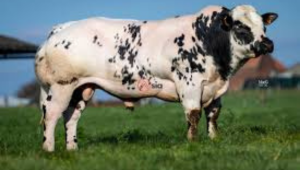 Thiết Kế Chưa Có Tên (36)