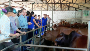 Thiết Kế Chưa Có Tên (37)