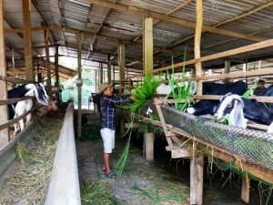 09204656anh-4-092046-175745