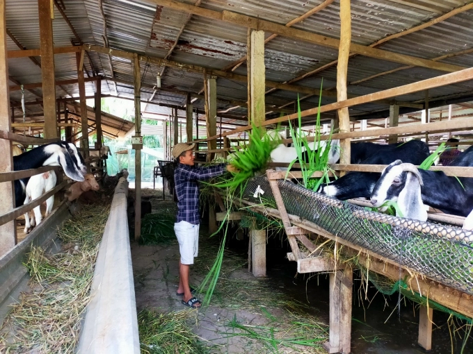 09204656anh-4-092046-175745