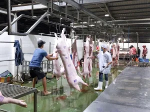 1-17-0934_20220608_290-154517