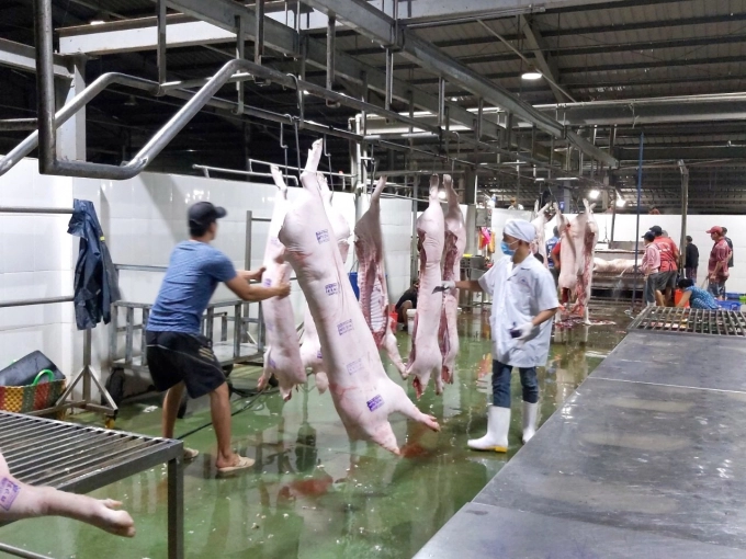 1-17-0934_20220608_290-154517