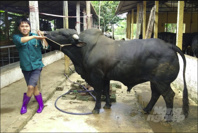 Screen Shot 2022-06-07 At 15.44.21