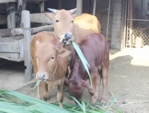 Watermark_3-2-1615_20220508_612-094456