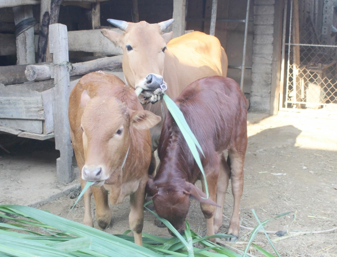 Watermark_3-2-1615_20220508_612-094456