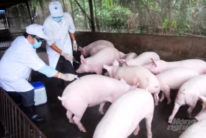 Watermark_dsc_0243-1423_20220511_583-094335