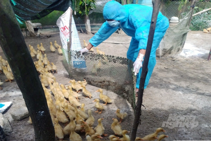 Z3484974783383_5c045458e6bc2ebbe24b24b9af0482ad-214424_303