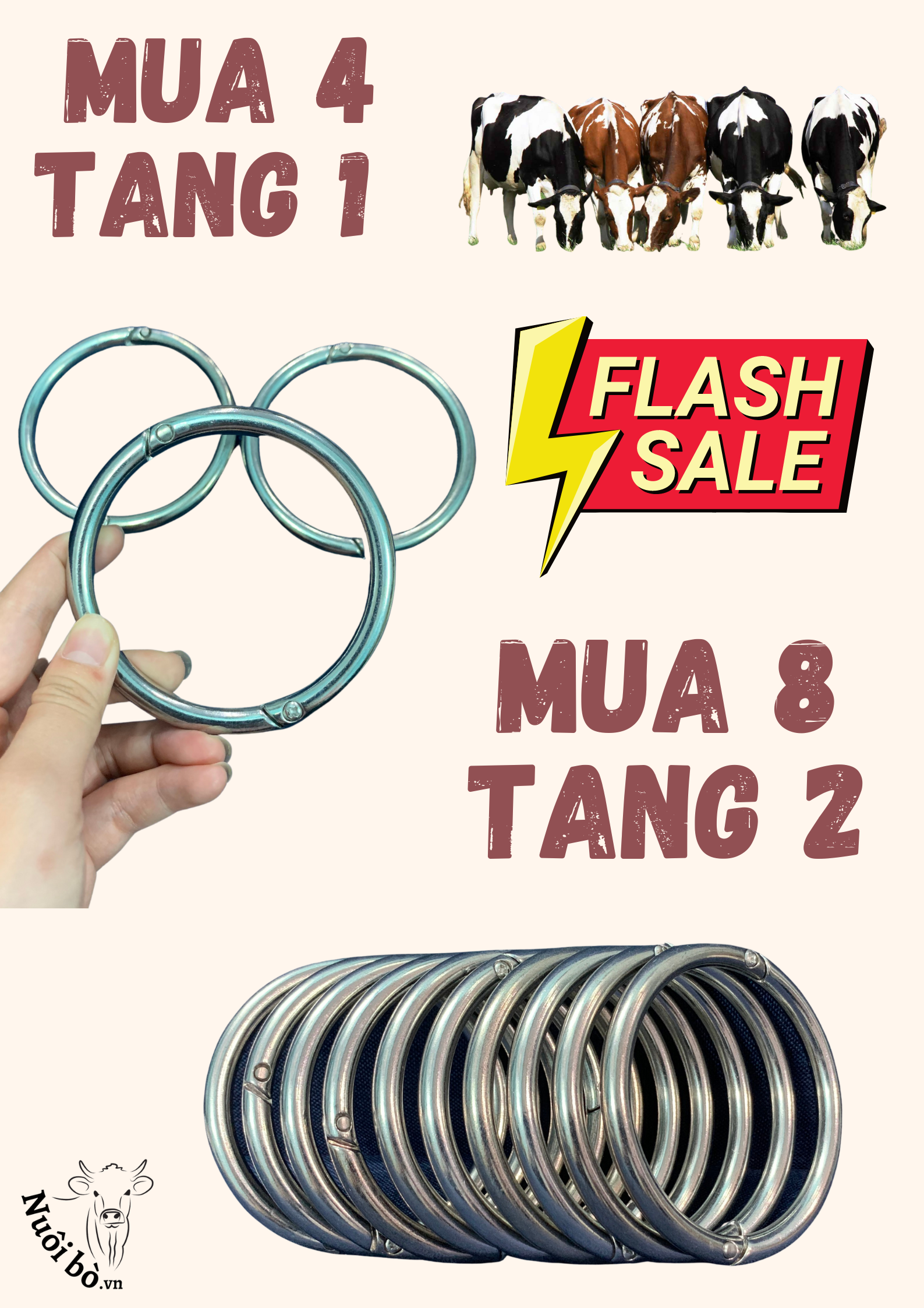 Đỏ Ảnh Bán Lẻ Mùa Lễ Áp Phích