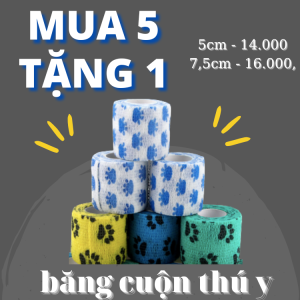 Mua 5 Tặng 1