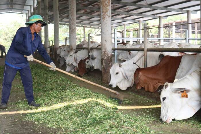 18593675-4916-4882-97cc-5003c491e41d