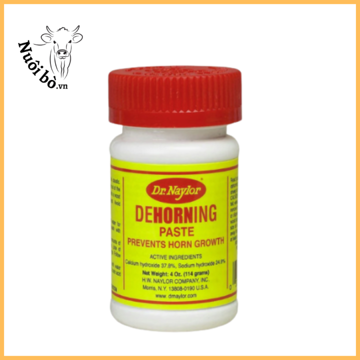 Thiết Kế Chưa Có Tên (52)