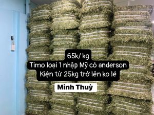 Z4035988538026_cec6fb9fb315a3dac3ba2b86a9fdda17 (1)