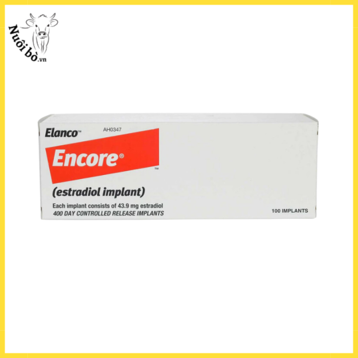 Encore Nuoibo.vn (2)