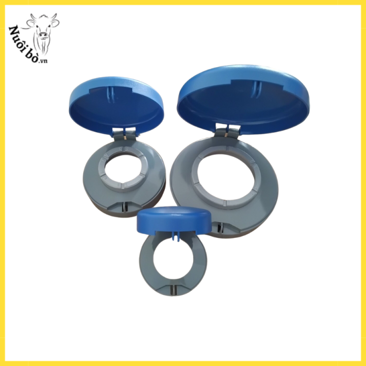 Napdaybinhnitonuoibo.vn (1)