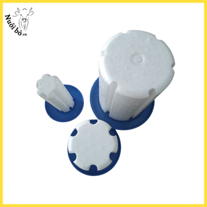 Napxopbinhnitonuoibo.vn (1)