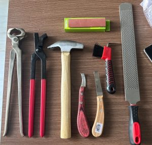 Bộ dụng cụ gọt móng cho bò 